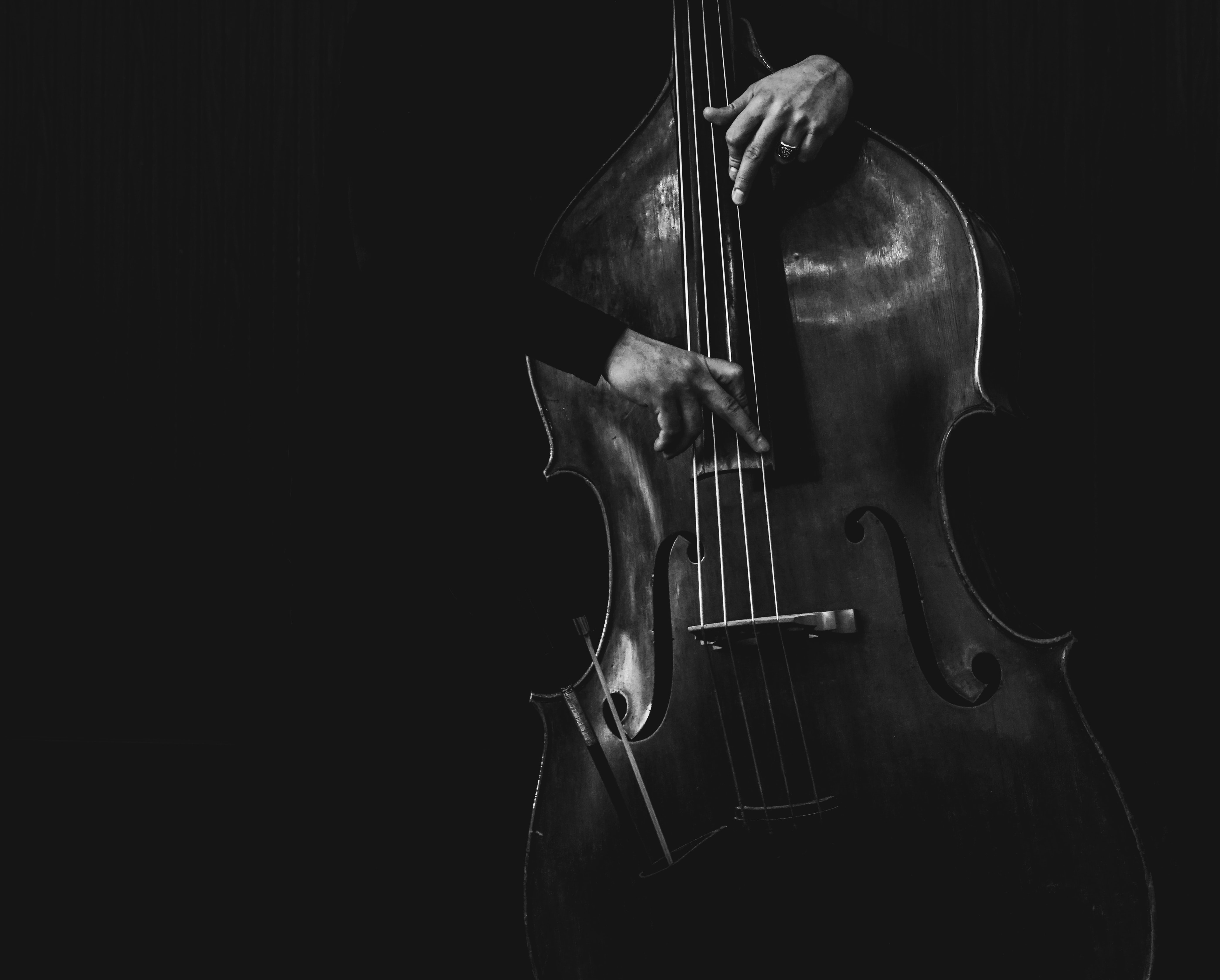A standup bass player with their instrument