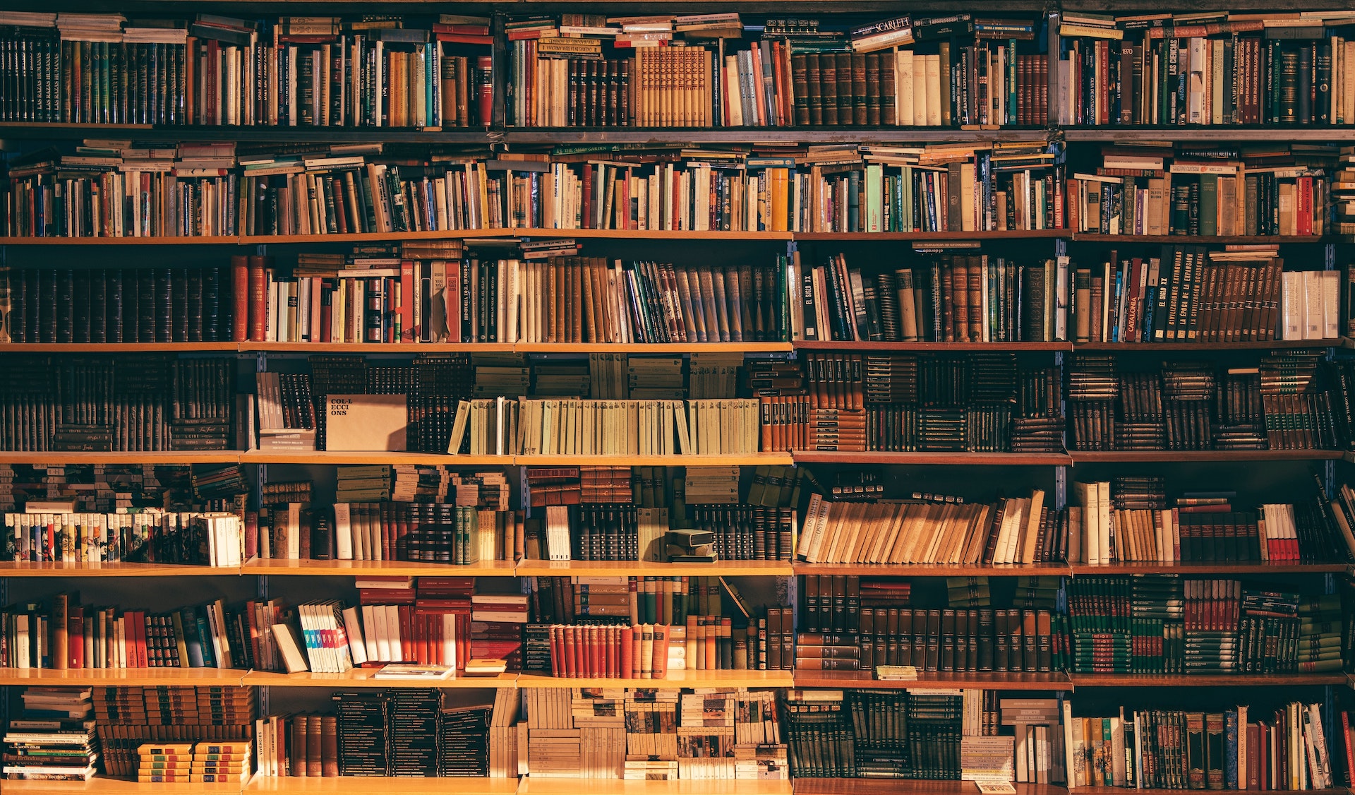 A wall to wall filled bookcase